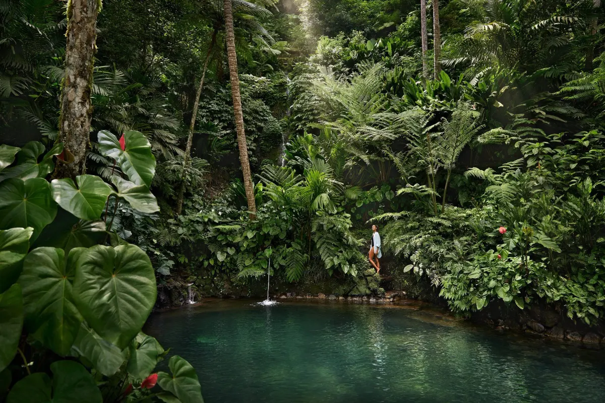 Bassa Explorer — Raja Ampat