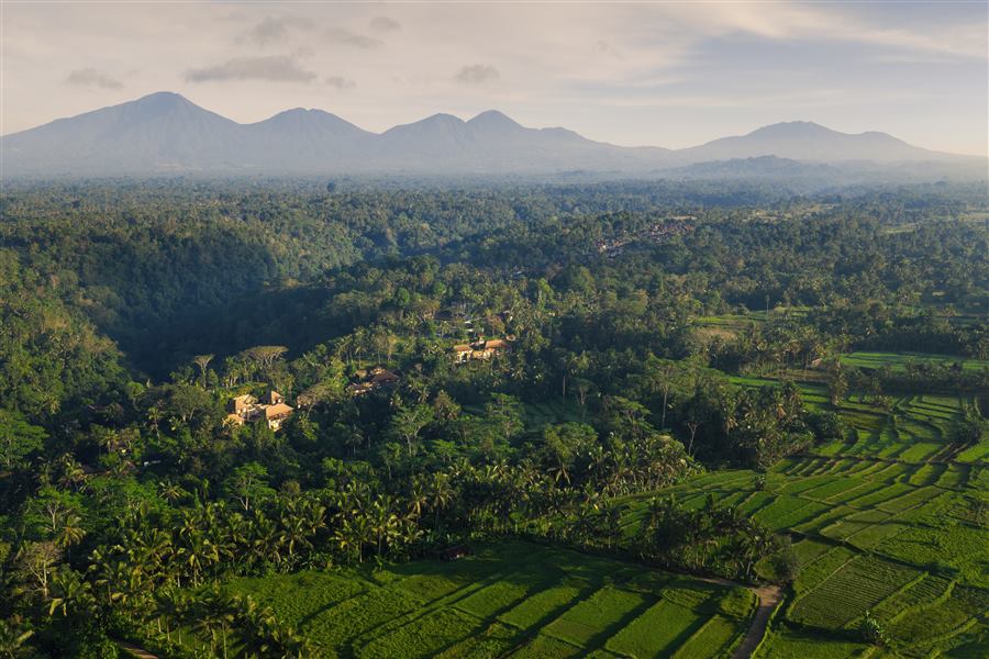 Terrazas de arroz UNESCO de Jatiluwih a los pies del Monte Batukaru