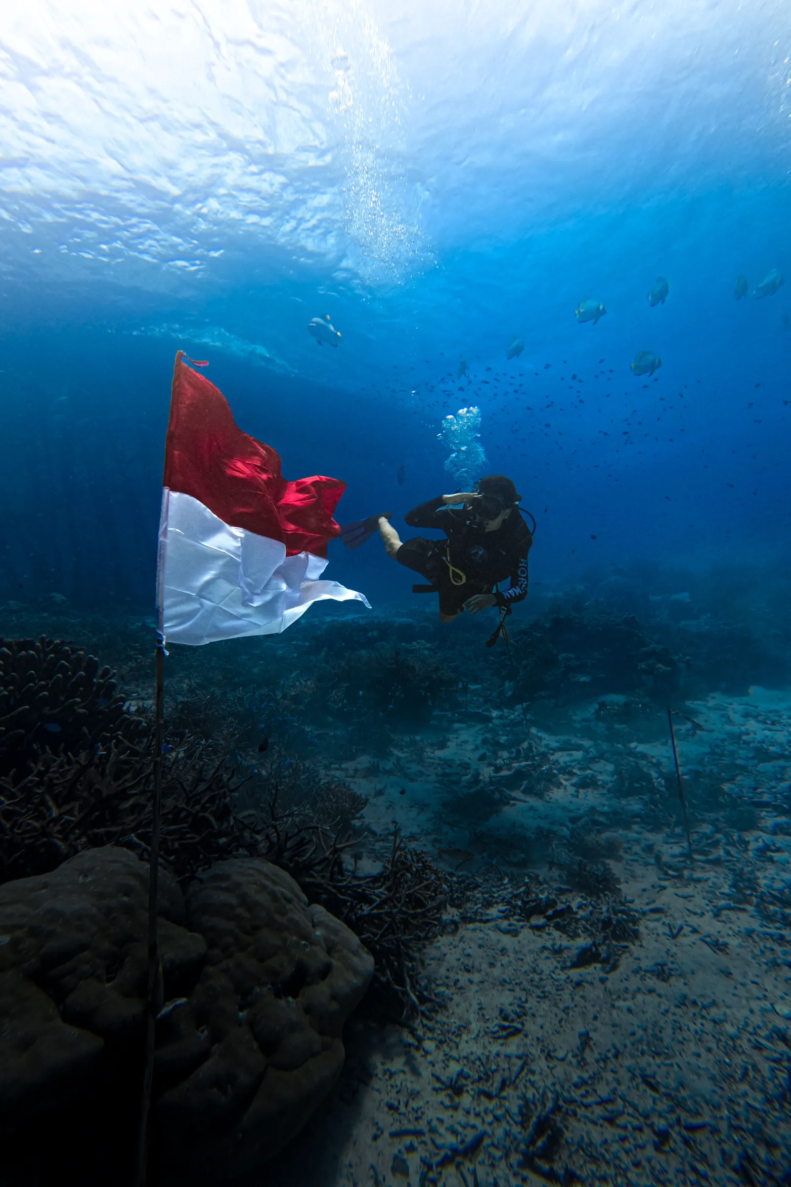Buceo en Cabo Kri Raja Ampat, récord mundial de biodiversidad marina