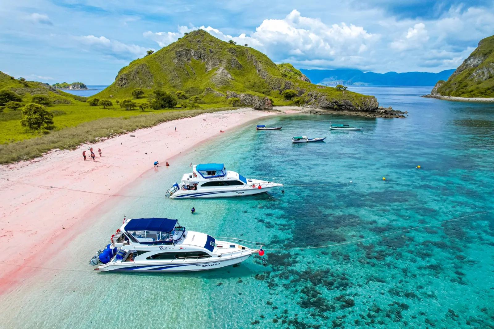 Pink Beach playa de arena rosa en el Parque Nacional de Komodo
